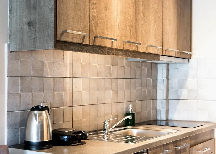 酒店 Phaedra Suites 里科索翁